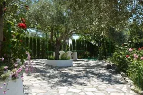 Imagen de Los Almendros
