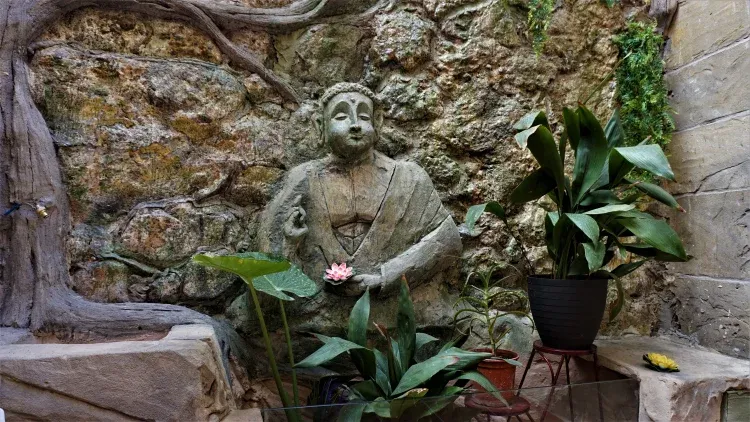 Imagen de Patio