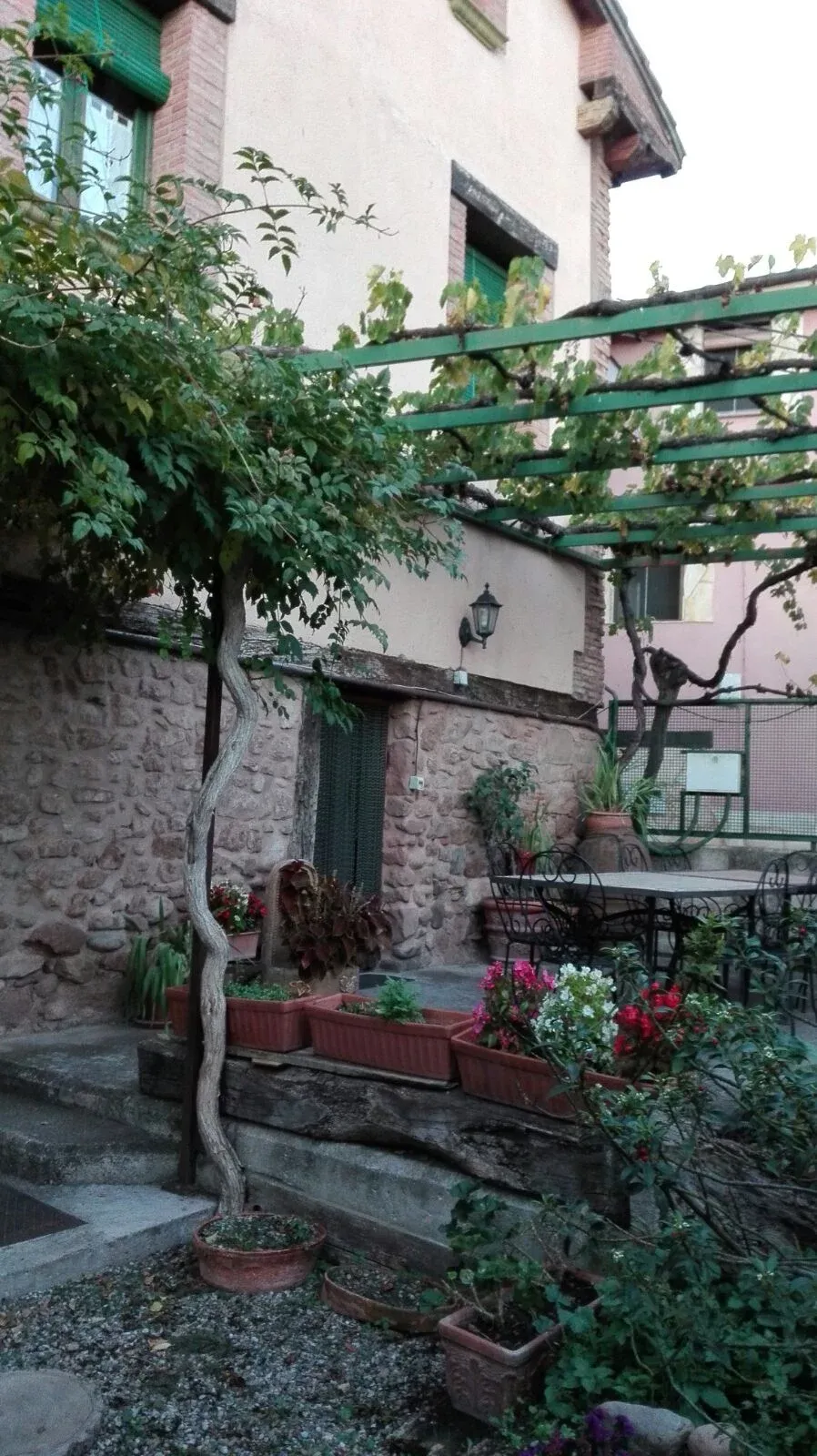 Imagen de Patio ajardinado