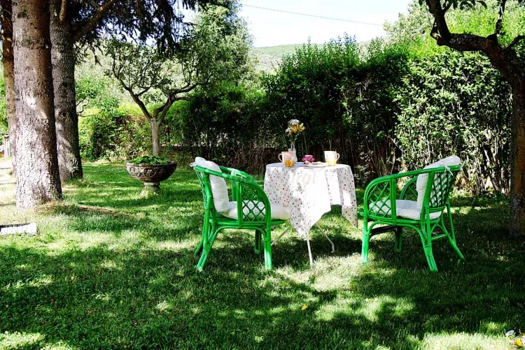 Imagen de desayuno jardin verano