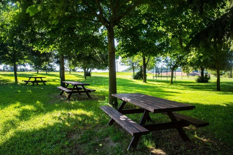 Imagen de Bbq i mesas para comer en el jardín