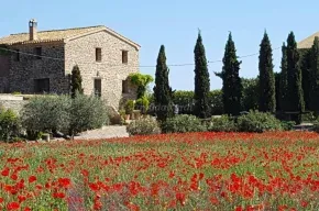Imagen de Masía Pedrolet