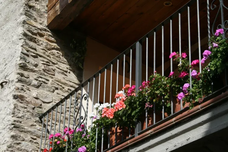 Imagen de La Casa Gran