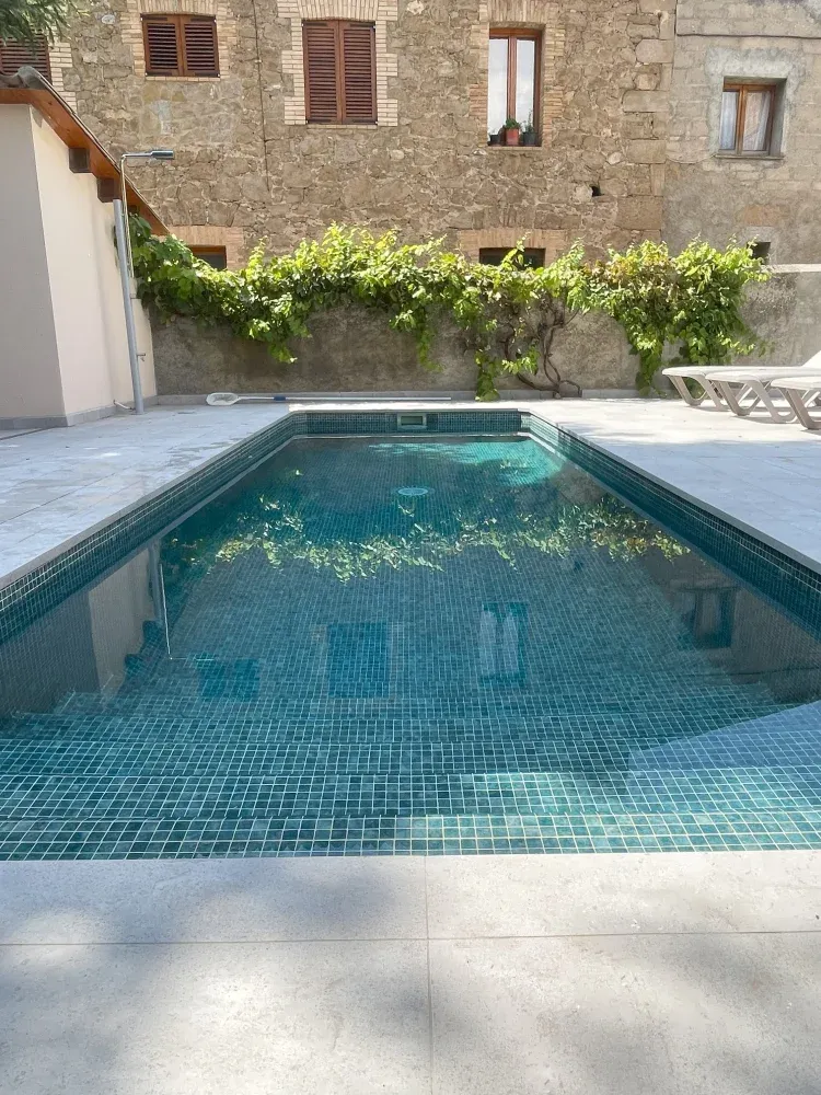 Imagen de Piscina y vid