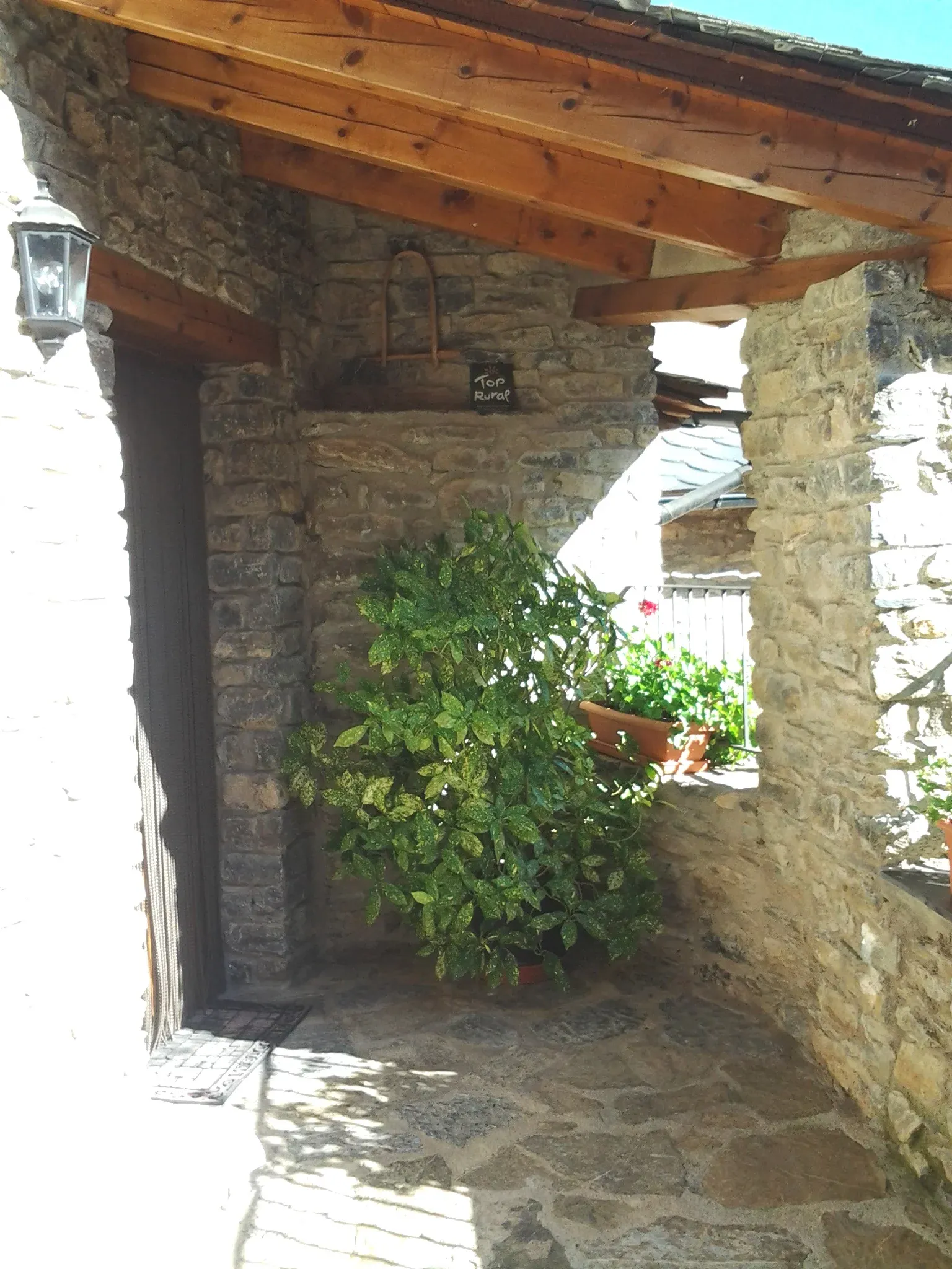 Imagen de ENTRADA
