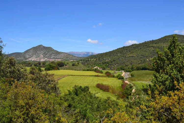 Imagen de Molí de Tartareu, Tartareu, La Malera, Valle del rio Farfanya.