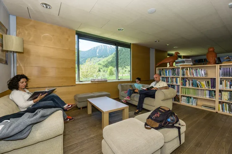 Imagen de Biblioteca
