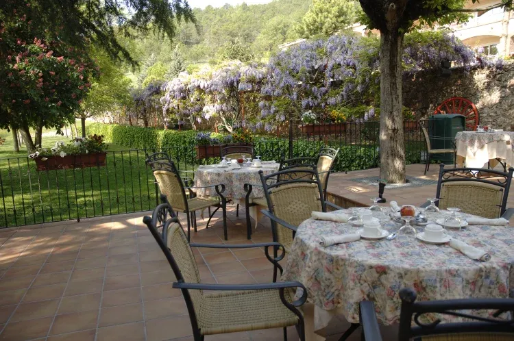 Imagen de Terraza desayunos