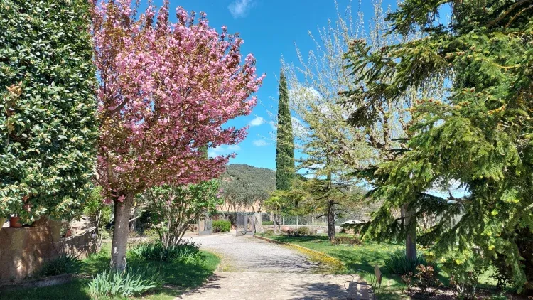 Imagen de Jardín