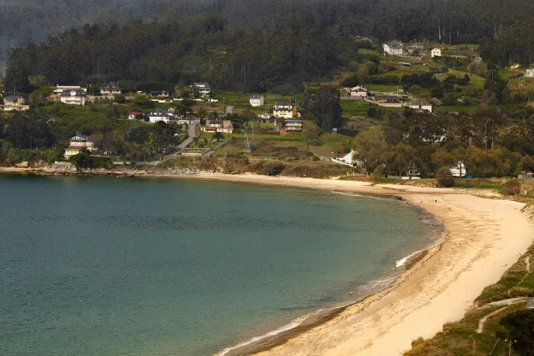Imagen de Playa de Area y entorno del hotel.