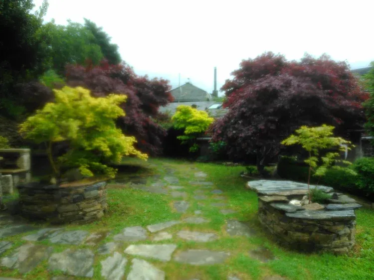 Imagen de Jardín