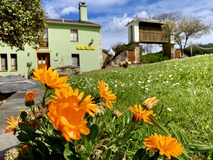 Imagen de Fachada y parte finca