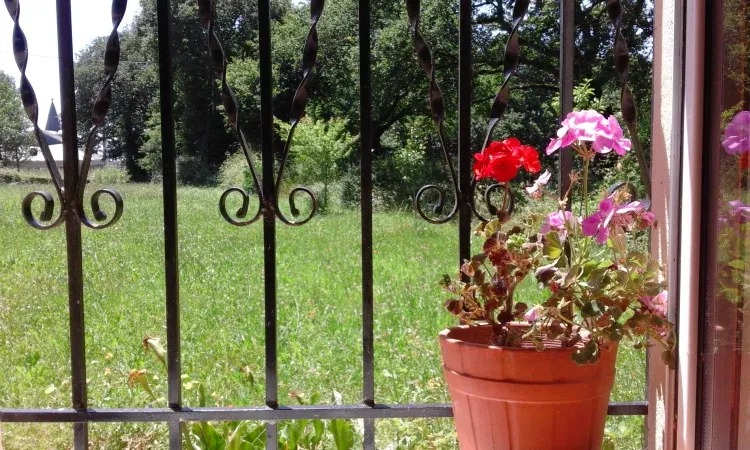Imagen de Vistas