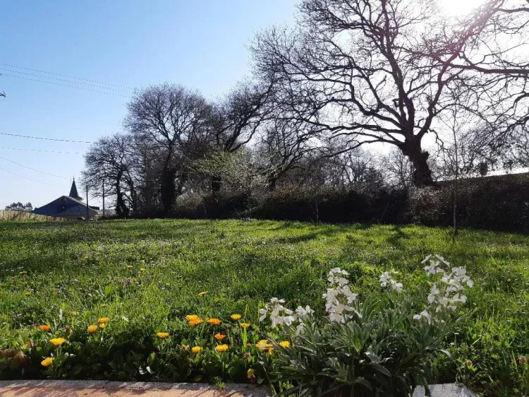 Imagen de Finca