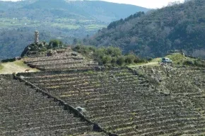 Imagen de Casa Nides