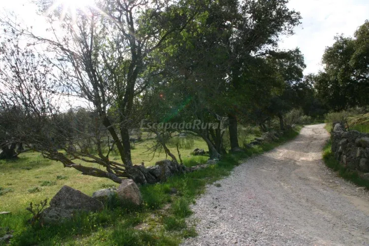 Imagen de Camino en las inmediaciones de Navalagamella, ideal para mover las piernas