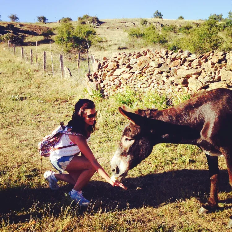 Imagen de Agroturismo El Capriolo