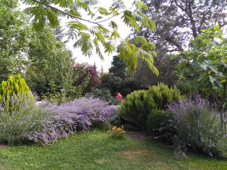 Imagen de Jardín