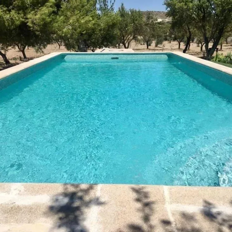 Imagen de Vista piscina