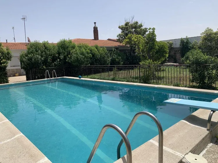 Imagen de La estrella del verano