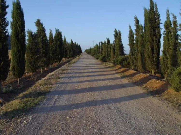 Imagen de Camino de acceso