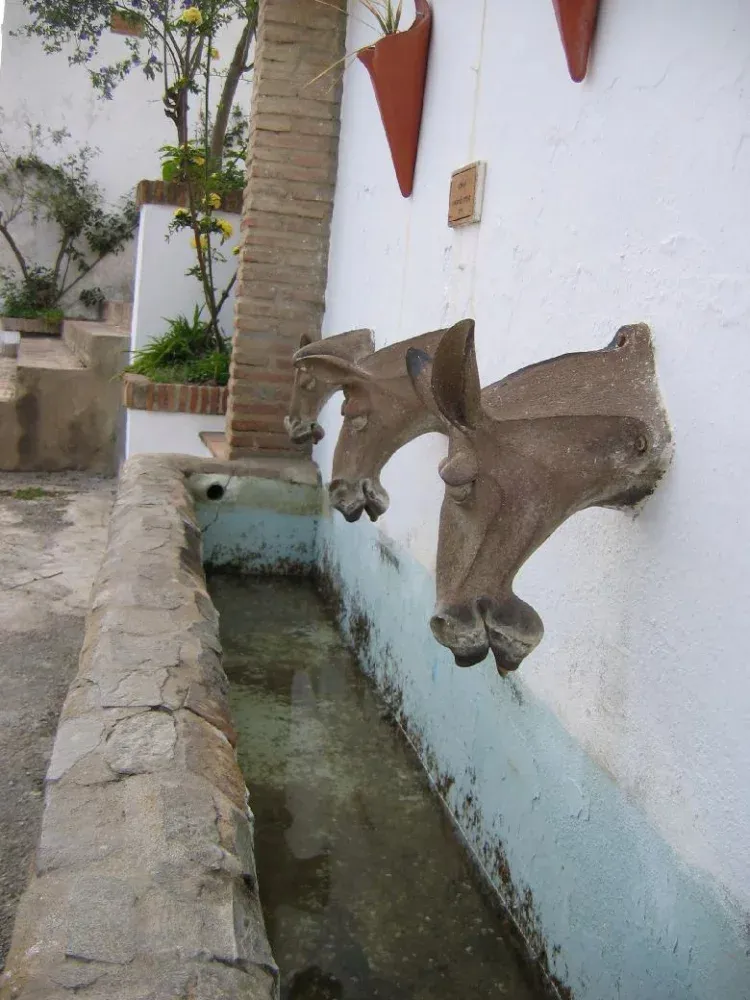 Imagen de fuente de los burritos a la entrada del bloque de los apartamentos