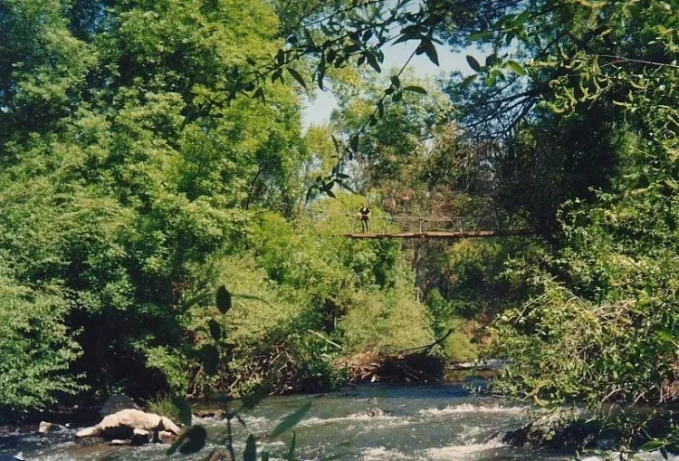 Imagen de Nuestra finca. Puente colgante