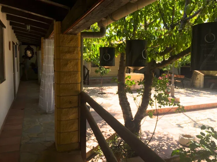 Imagen de Galería que rodea el patio andaluz.