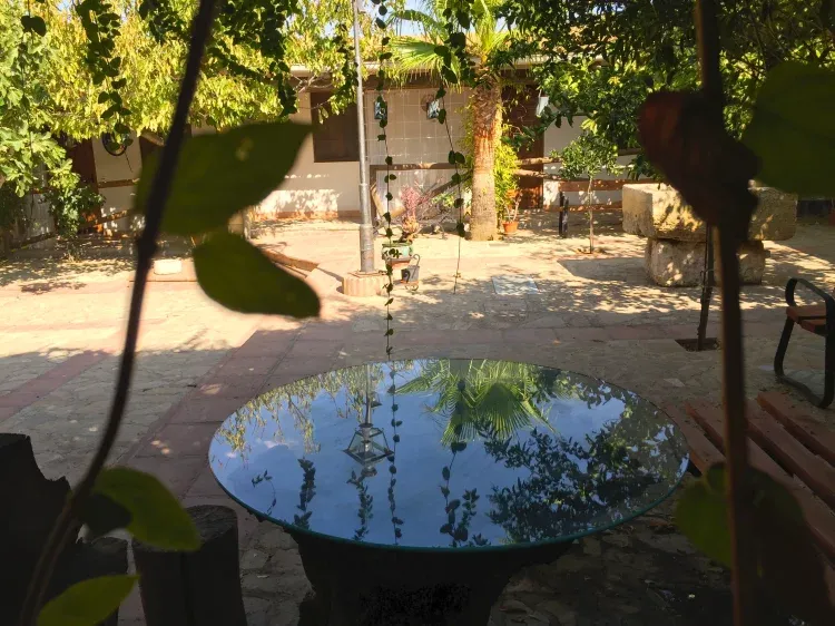 Imagen de Patio andaluz