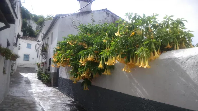 Imagen de CasaAntoñita. 