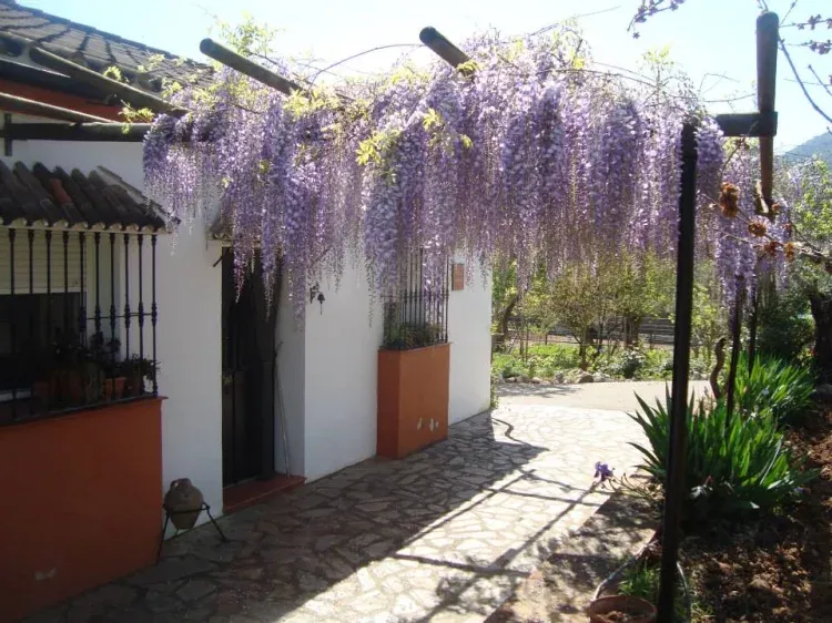 Imagen de Entrada