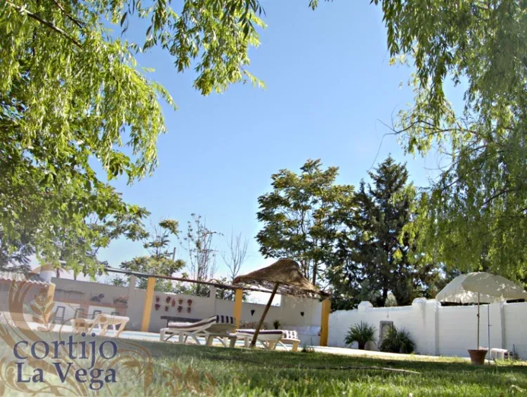 Imagen de Zona piscina