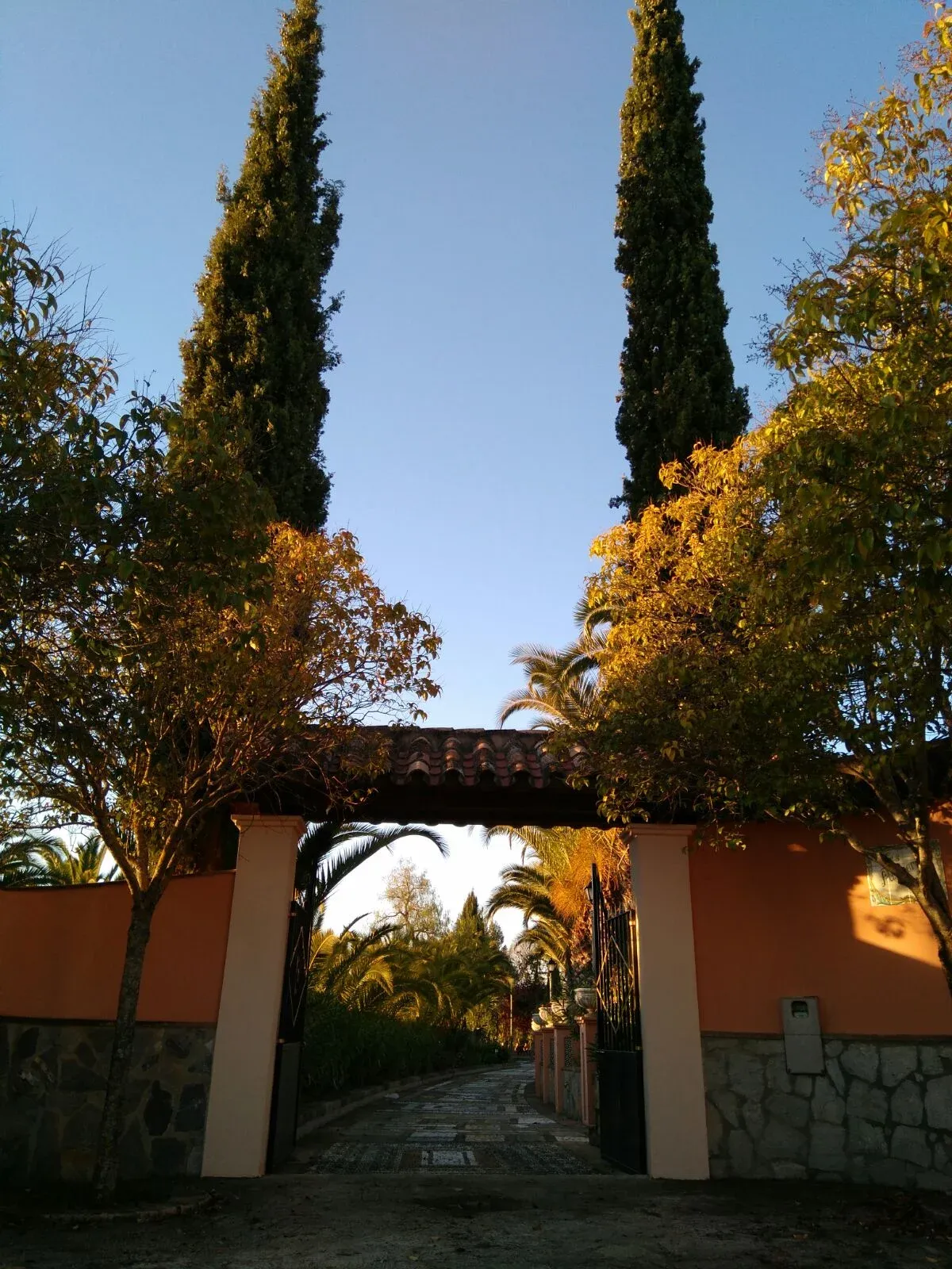 Imagen de Entrada