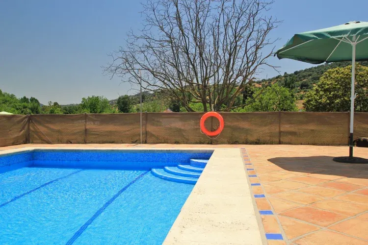 Imagen de La piscina
