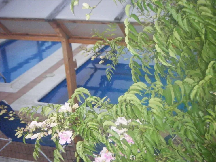 Imagen de piscina 
