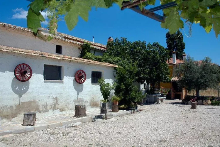 Imagen de Patio barbacoa