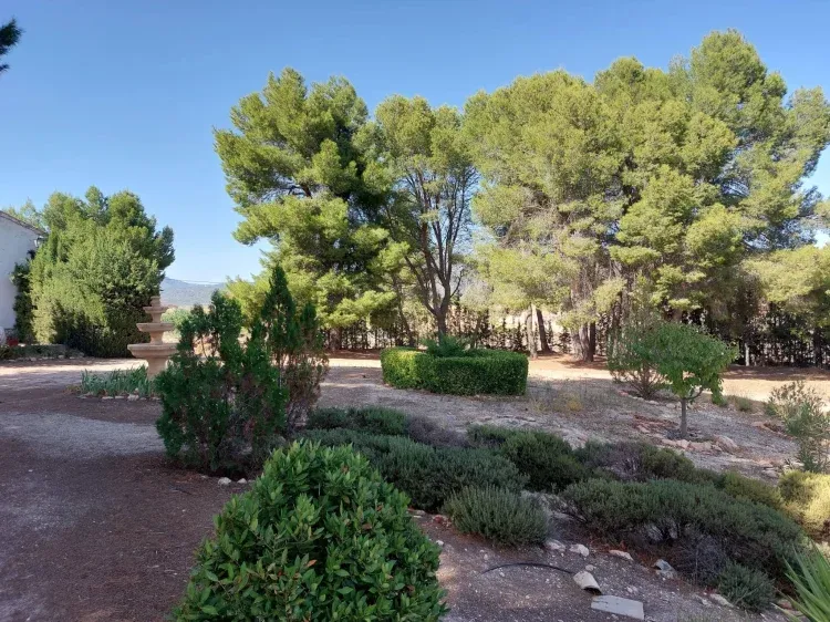 Imagen de Jardín