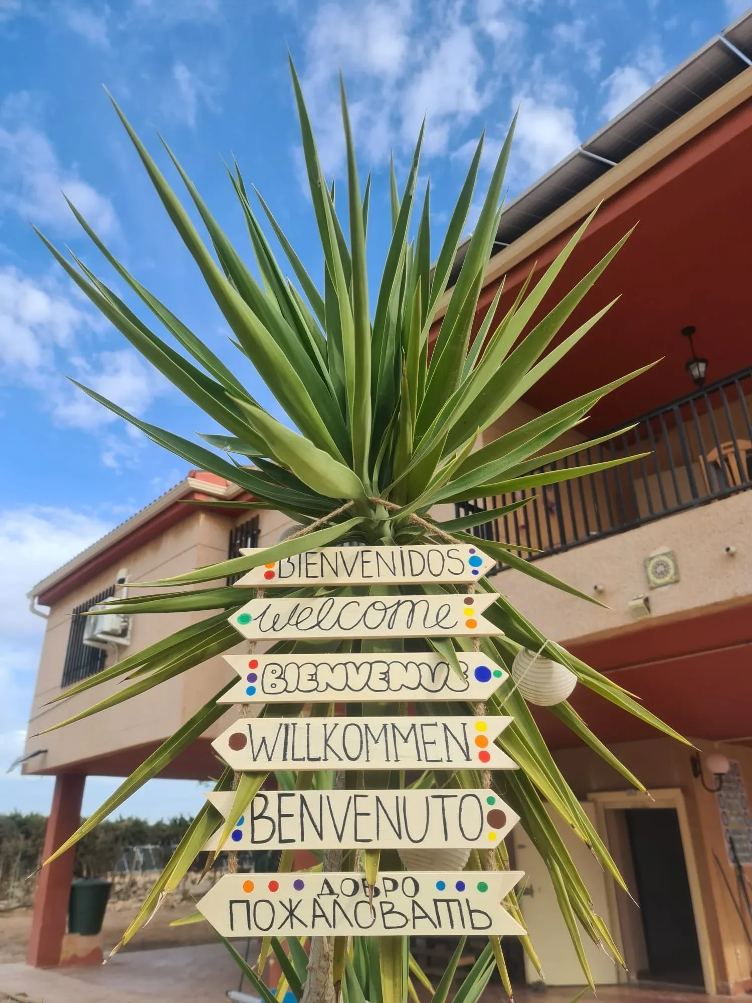 Imagen de Bienvenidos a la Yuca de Colores