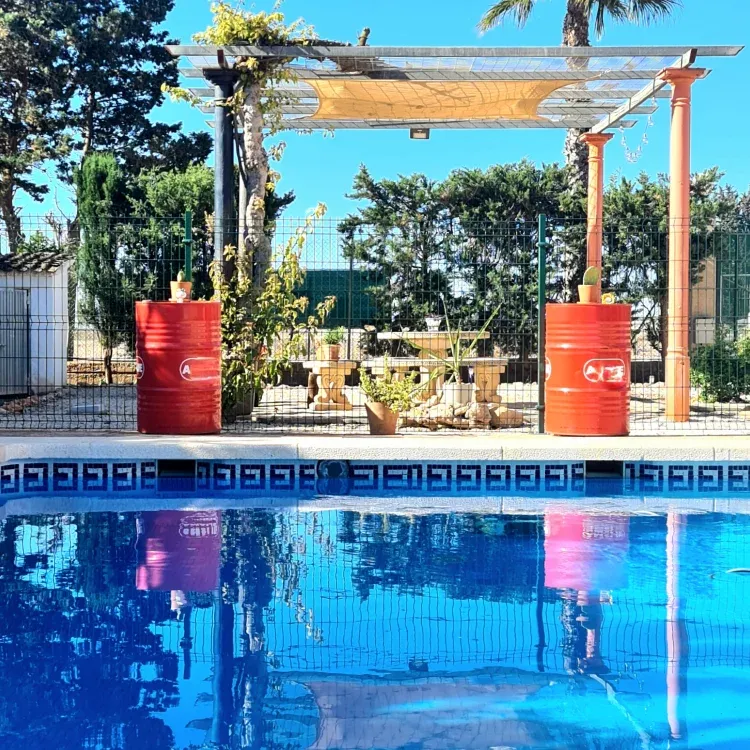 Imagen de Visión de la piscina y el jardín