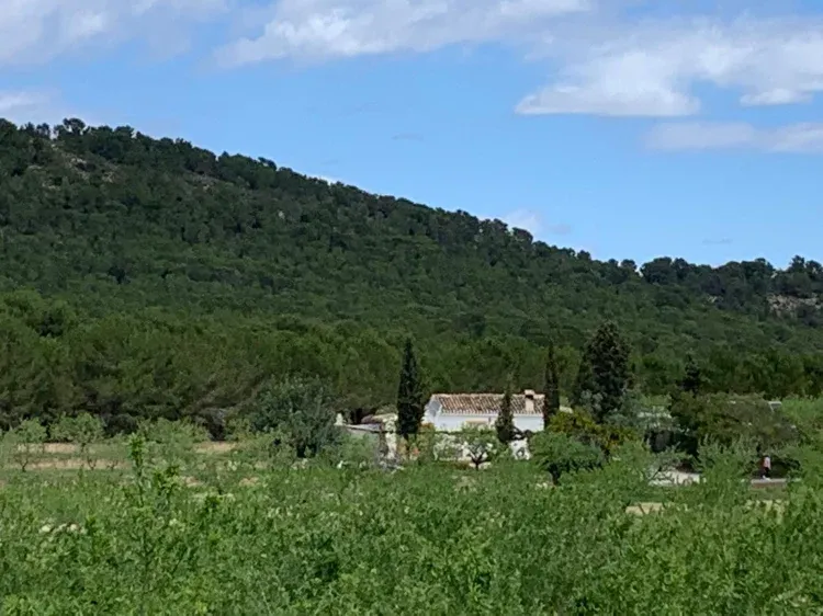 Imagen de Entorno de la casa