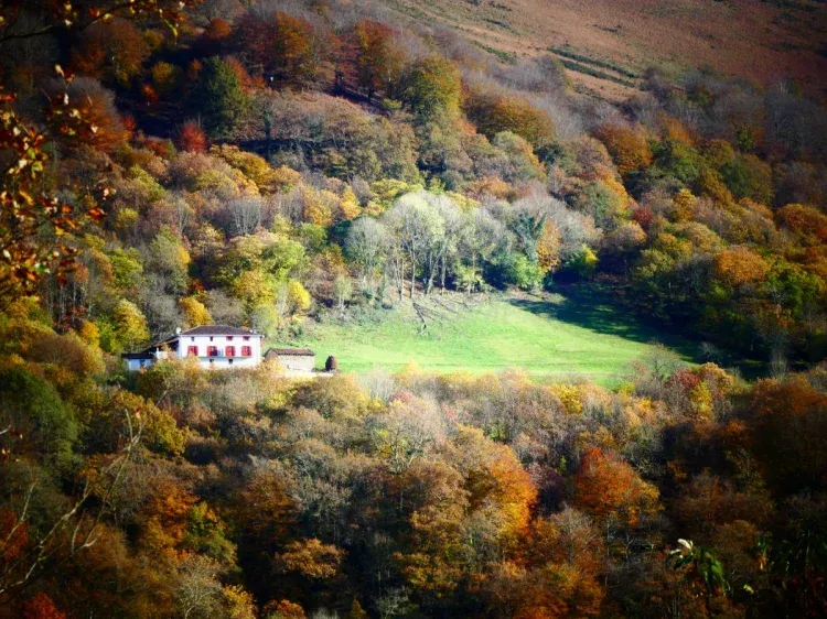 Imagen de otoño en pleno 2016