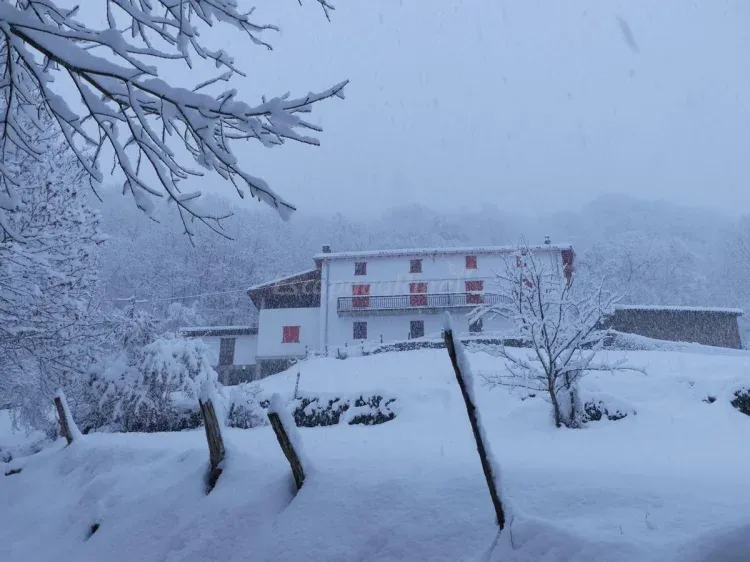 Imagen de vista desde el camino