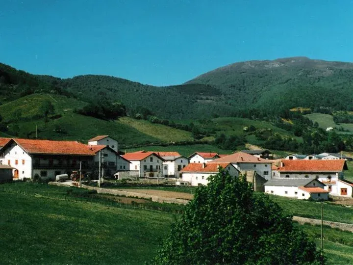 Imagen de zilbeti