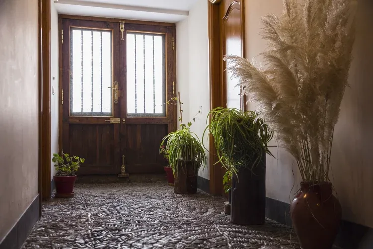 Imagen de Entrada de la casa