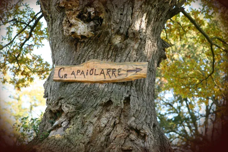 Imagen de Camino apaiolarre