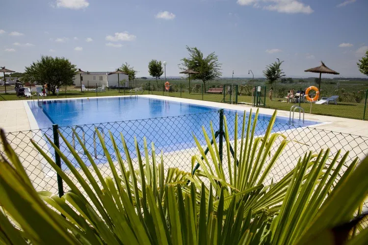 Imagen de Piscina del Camping Bardenas