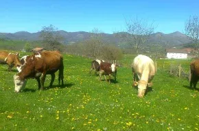 Imagen de Casa Rural Ballenea