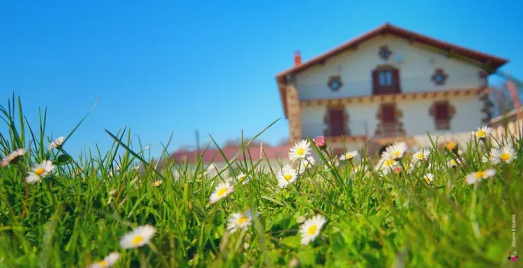 Imagen de Bergaranea en primavera