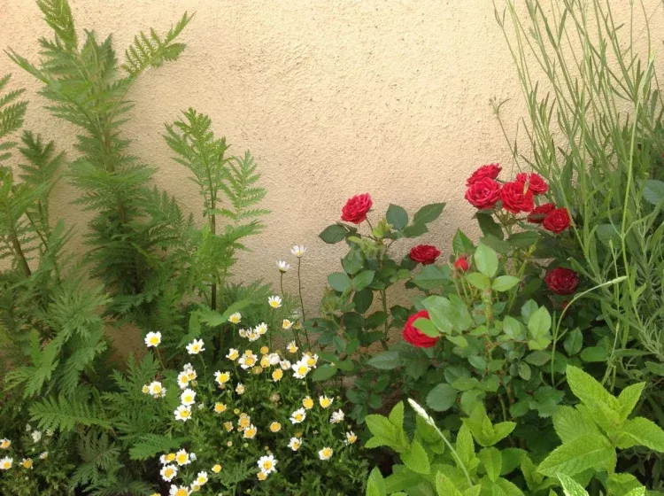 Imagen de Patio 
