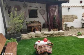 Imagen de La Mimosa